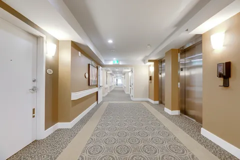 Carpeted hallway with handrails, framed artwork and two elevators