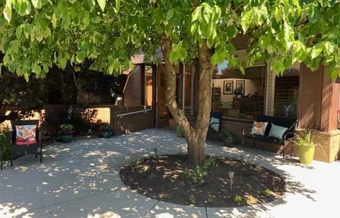 Shaded courtyard seating beneath a leafy tree