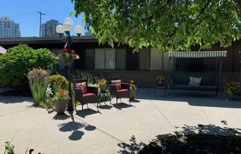 Paved courtyard with patio chairs, planters and a leafy tree