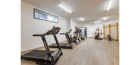 Exercise room with treadmills, bikes and a wall-mounted climbing ladder