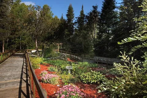 Garden beds with flowers and trees beside a wooden boardwalk