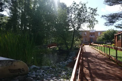 Garden boardwalk beside planted beds leading toward the building