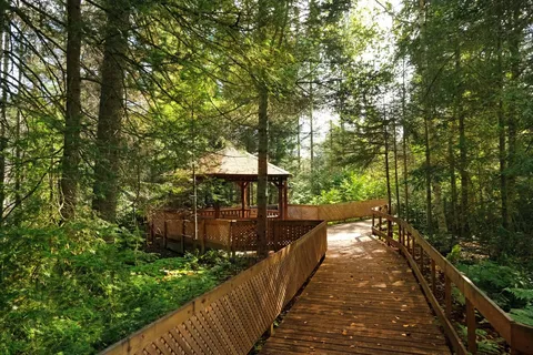 Garden boardwalk leading to a gazebo among trees