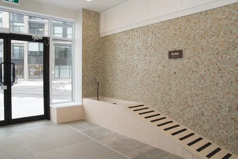 Tiled dog washing station with a ramp beside a glass entrance door