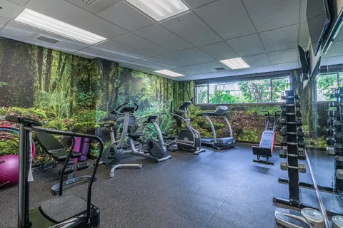 Fitness room with exercise bicycles, a treadmill, dumbbells and a forest wall mural