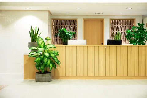 Wooden reception counter with mail slots, computer monitors and potted plants