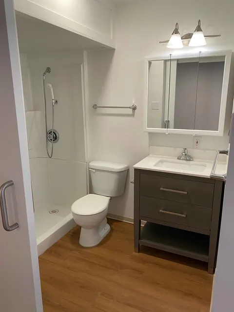 Bathroom with a sink, mirror, toilet, shower and grab bars