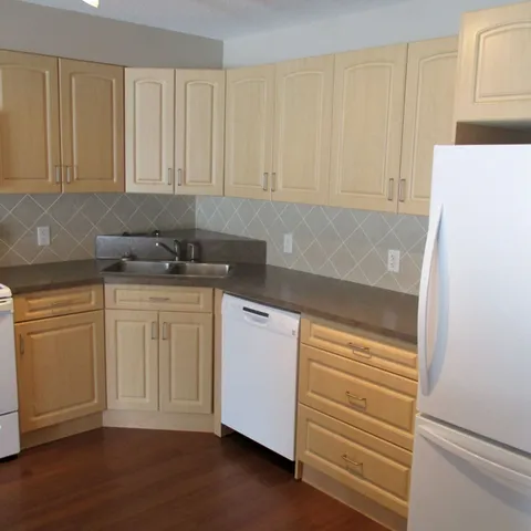 Kitchen with wooden cabinets, a stove, dishwasher and refrigerator.
