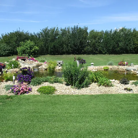 Lawn and planted garden beds with flowering plants and trees.