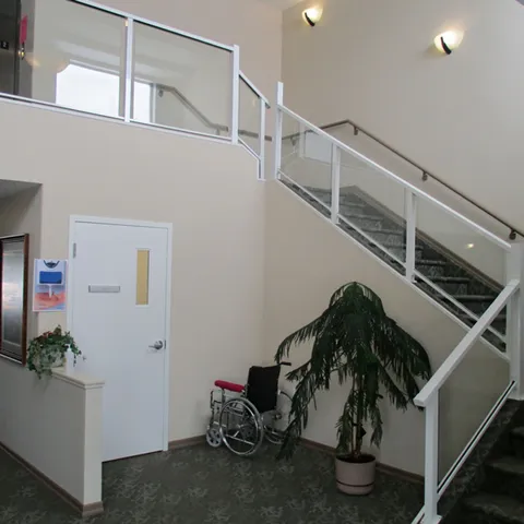 Staircase beneath high windows beside potted plants.
