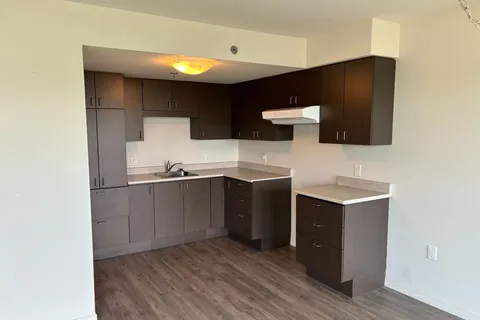 Kitchen with dark cabinets, a stainless-steel sink and a range hood