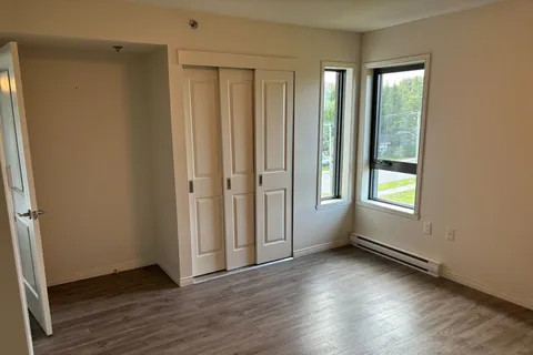 Empty room with a double-door closet and two windows