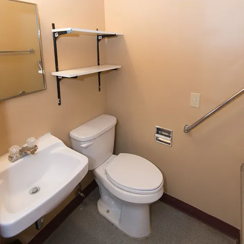 Bathroom with a sink, toilet, mirror and grab bar